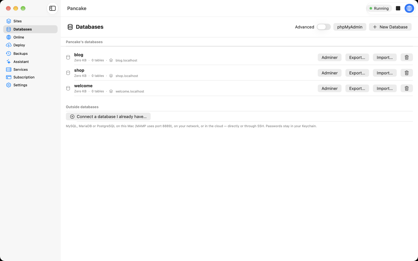 The Databases pane: each database with its size and site, and the Adminer, Export and Import buttons.